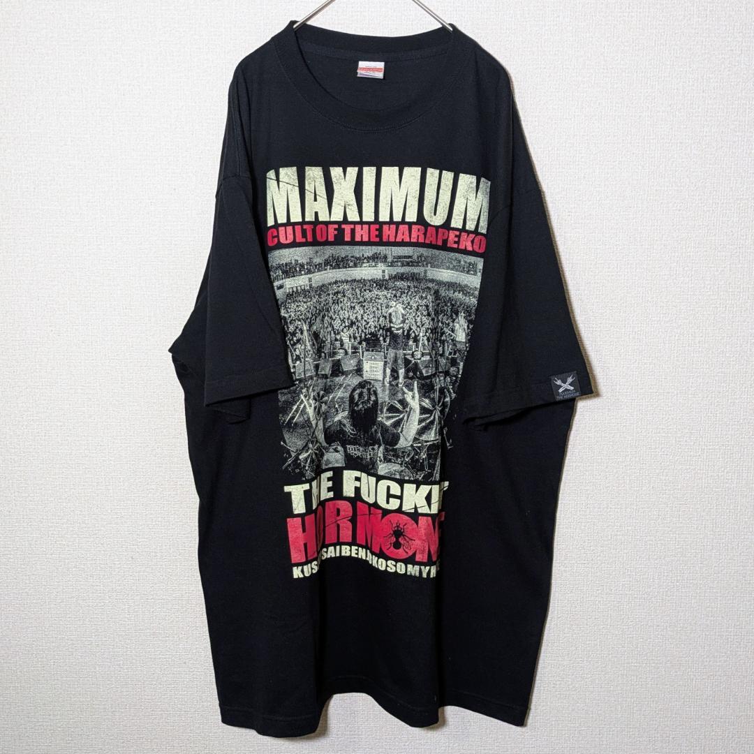 マキシマムザホルモン CULT OF HARAPEKOHAE 蝿 Tシャツ