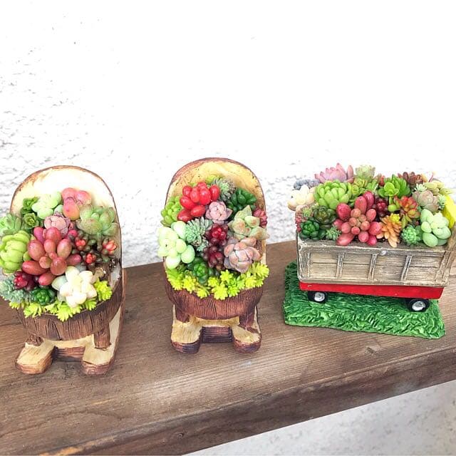 ★多肉植物　寄せ植え〜カート寄せ〜そのまま飾れます(*^ω^*)