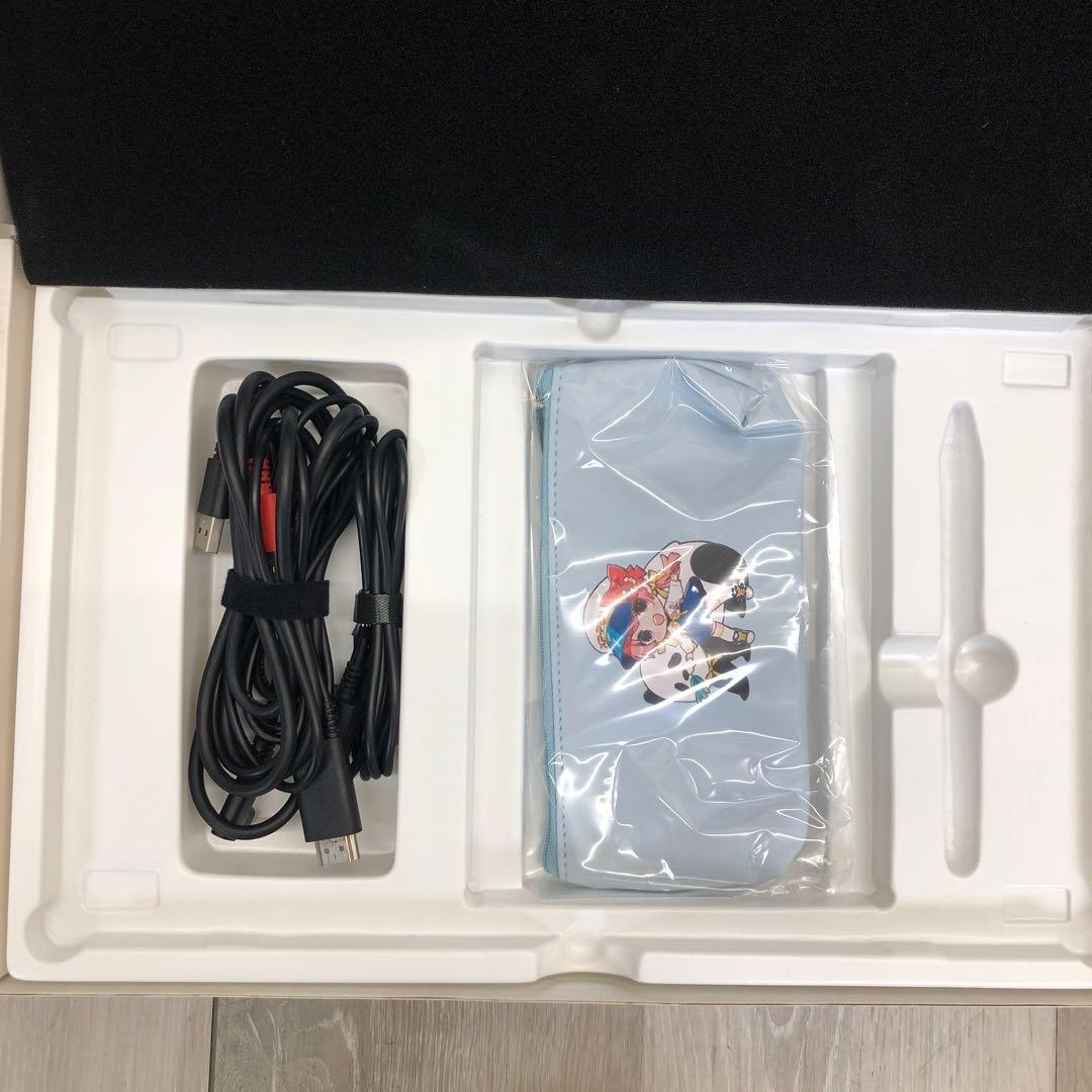 ⑬XP-PEN Artist12 液晶ペンタブレット 現状品