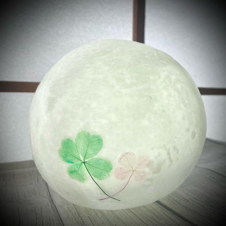 本物の四つ葉のクローバータッチライトஐ☘︎︎LEDライト2色タイプ✧̣̥̇ヒーリング効果♡
