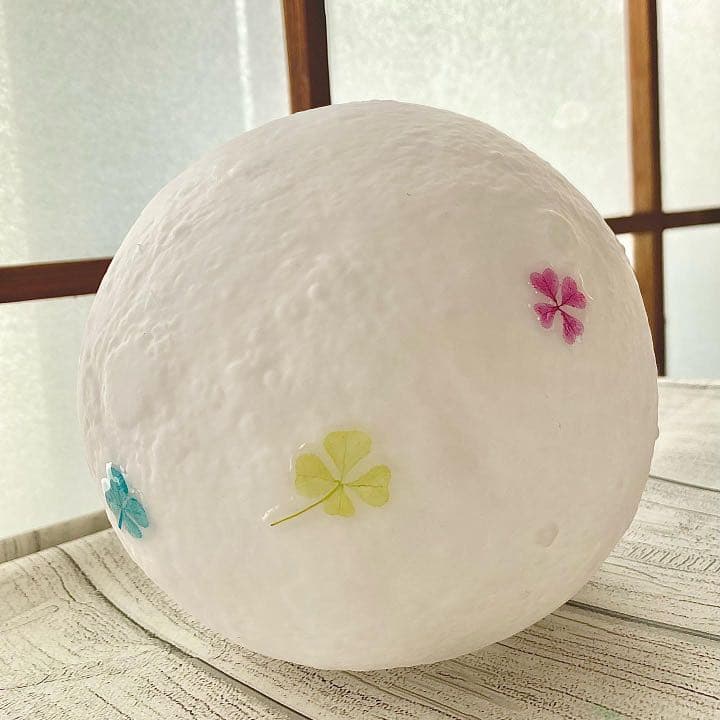 本物の四つ葉のクローバータッチライトஐ☘︎︎LEDライト2色タイプ✧̣̥̇ヒーリング効果♡