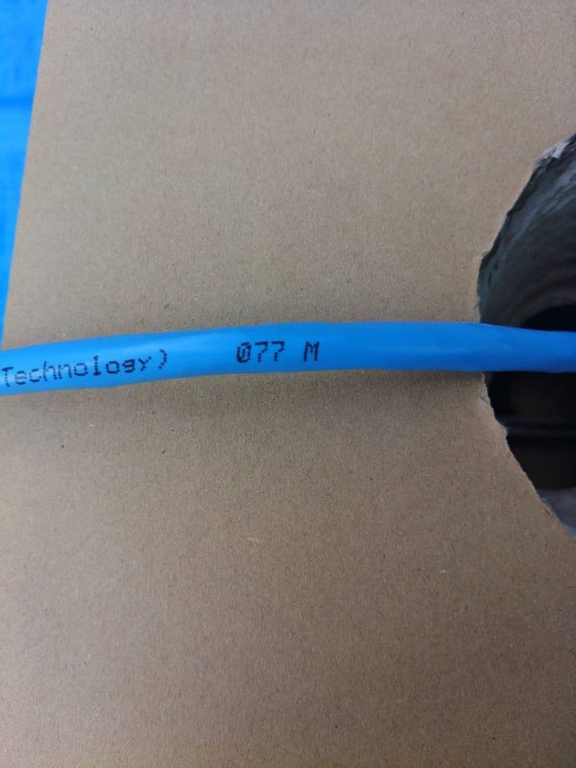 TSUNET -10GE CAT6A UTP LANケーブル 77m 青