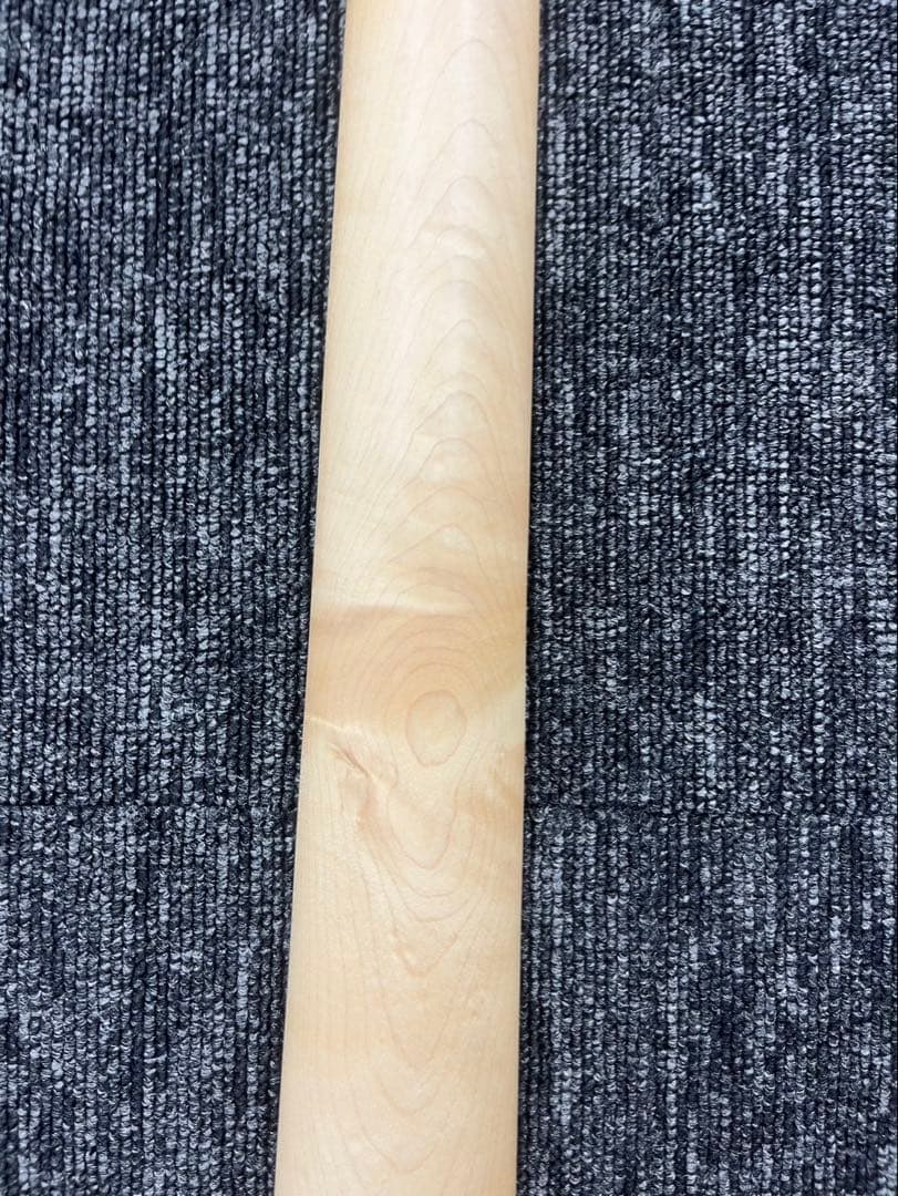 LEGEND by Aria ProII　エレキギター