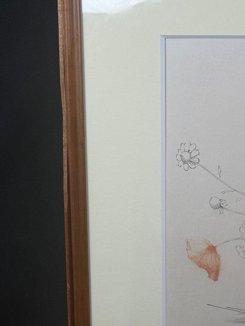 三栖右嗣【アマポーラ】lithograph DAIMARU