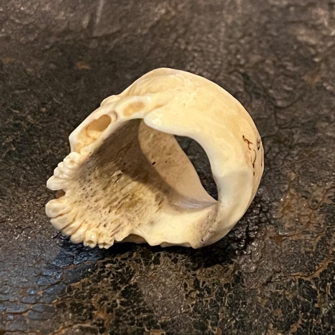 櫻井髑髏 野晒し スカルリング Skull ring バンダナ／スカーフリング