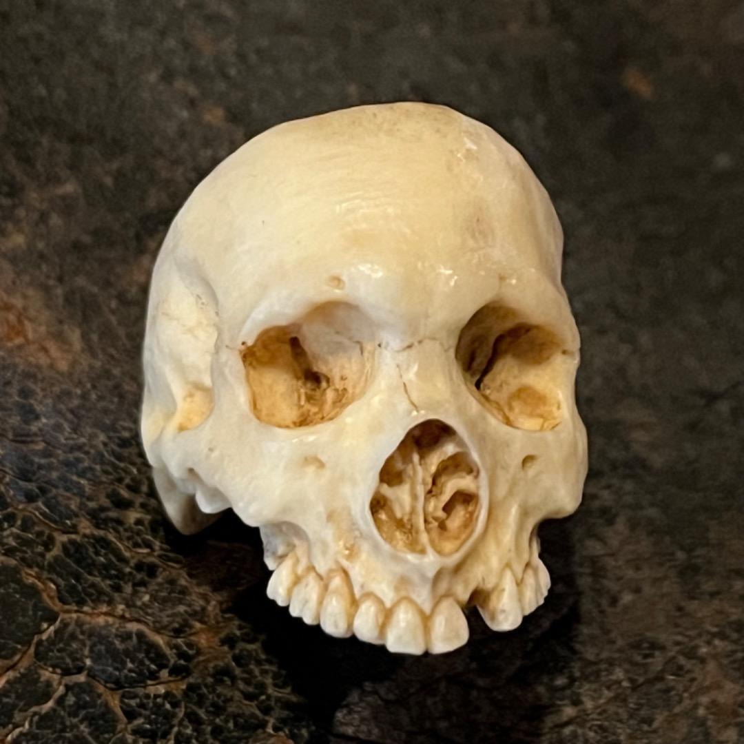 櫻井髑髏 野晒し スカルリング Skull ring バンダナ／スカーフリング