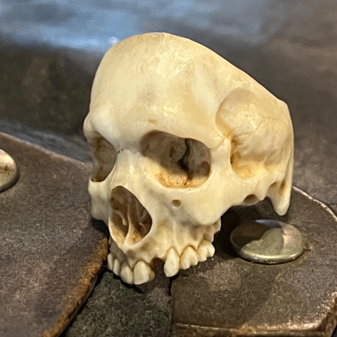 櫻井髑髏 野晒し スカルリング Skull ring バンダナ／スカーフリング