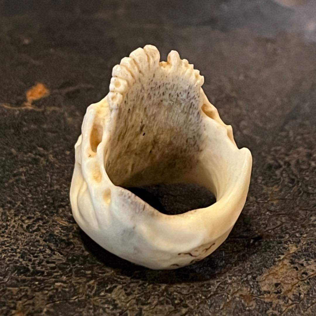 櫻井髑髏 野晒し スカルリング Skull ring バンダナ／スカーフリング