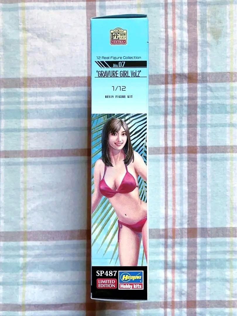 限定品 ハセガワ 1/12 グラビアガール2 フィギュア