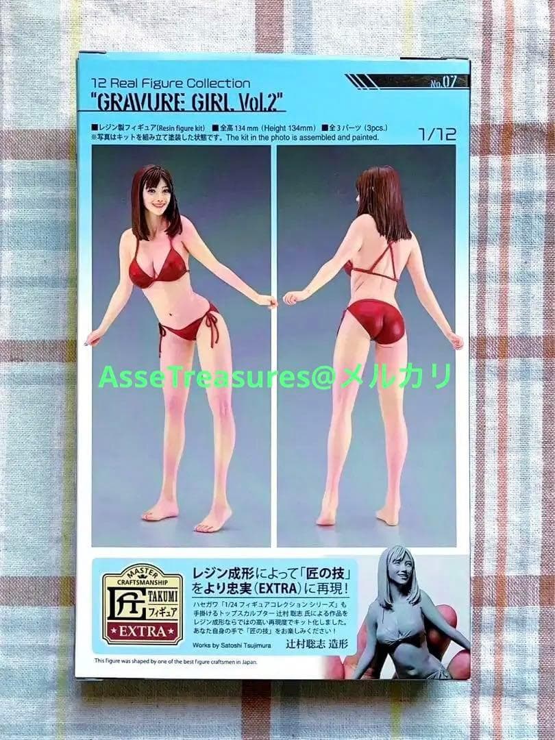 限定品 ハセガワ 1/12 グラビアガール2 フィギュア