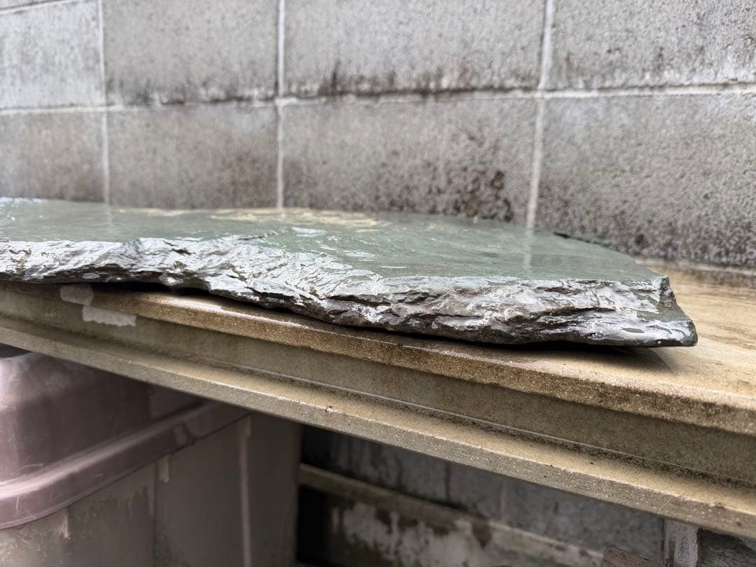 伊予石　青石　四国　平石　大型　鑑賞石　自然石　付け石　鞍馬　龍眼　竜岩　盆栽