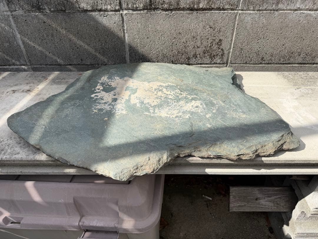 伊予石　青石　四国　平石　大型　鑑賞石　自然石　付け石　鞍馬　龍眼　竜岩　盆栽