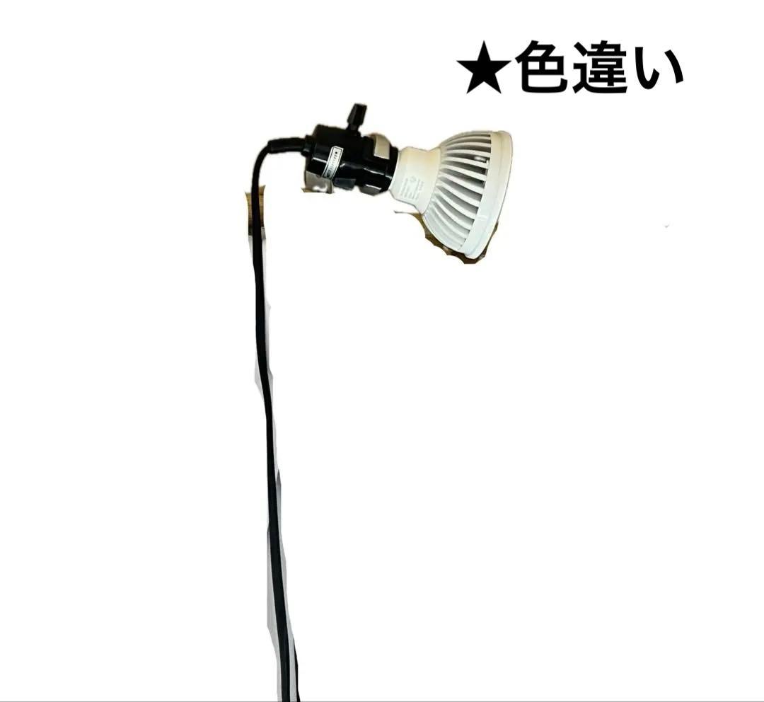 プランツネクスライト　ソケット・クリップ付　植物専用育成ライト　観葉植物