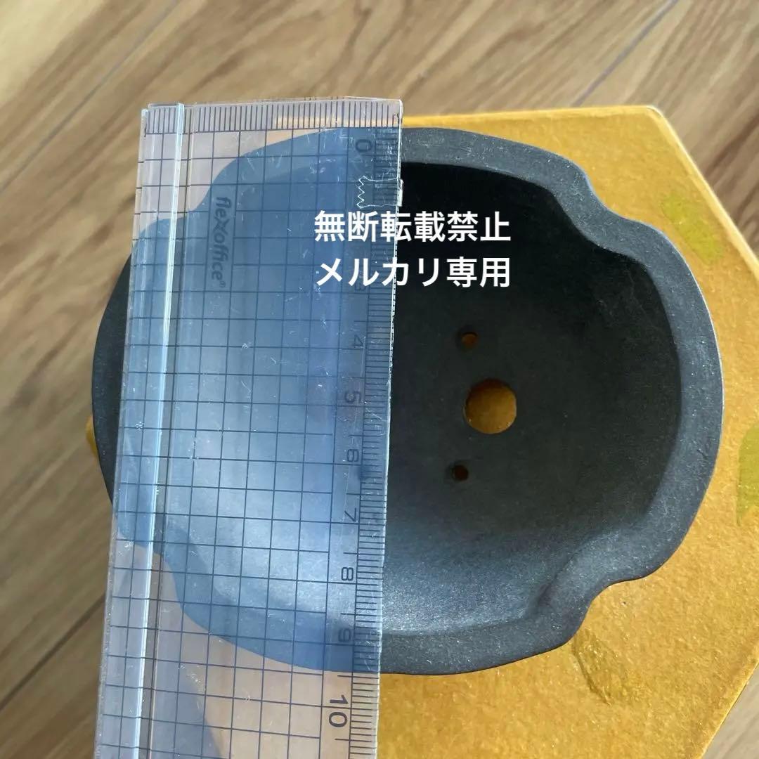 ミニ盆栽鉢　小品盆栽　桑津香石　絵鉢　椿　菖蒲　山野草