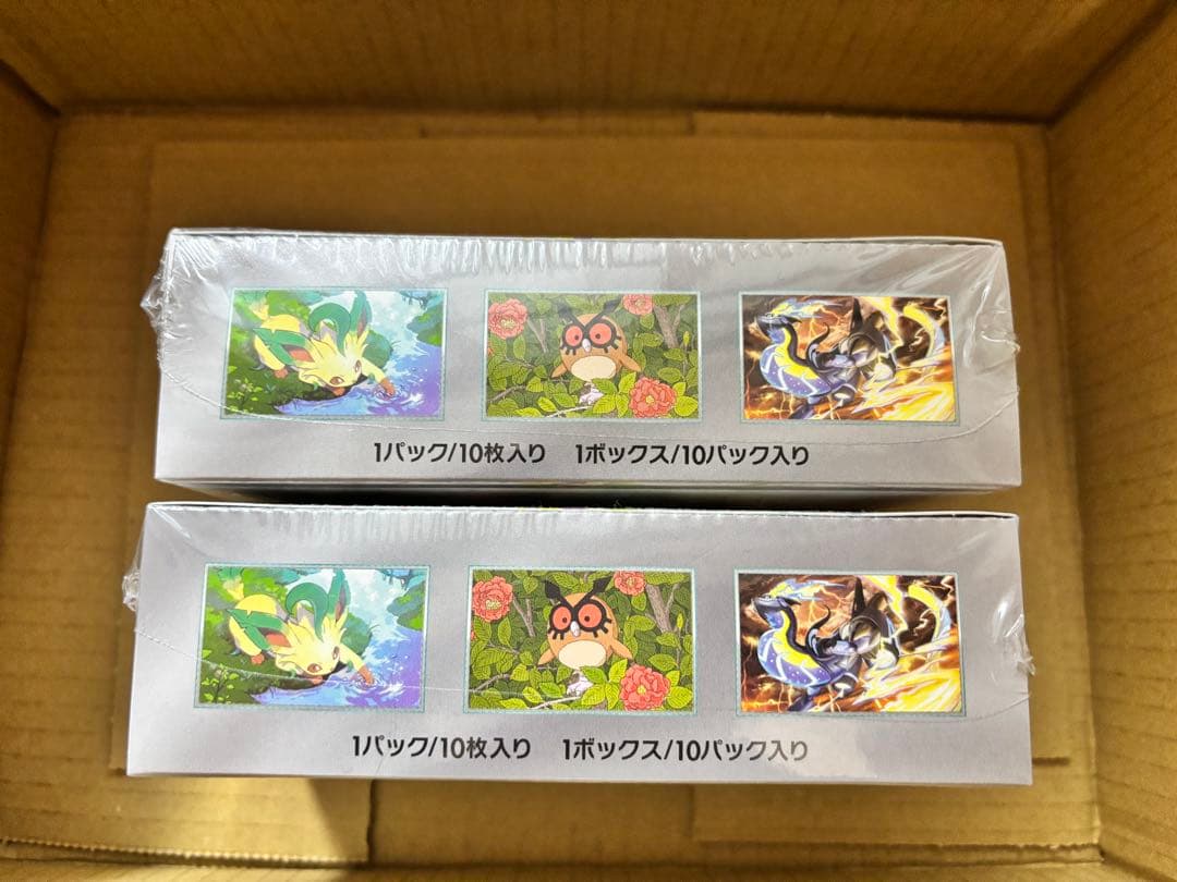 ポケモンカードゲーム テラスタルフェスex 2BOX シュリンク付き未開封