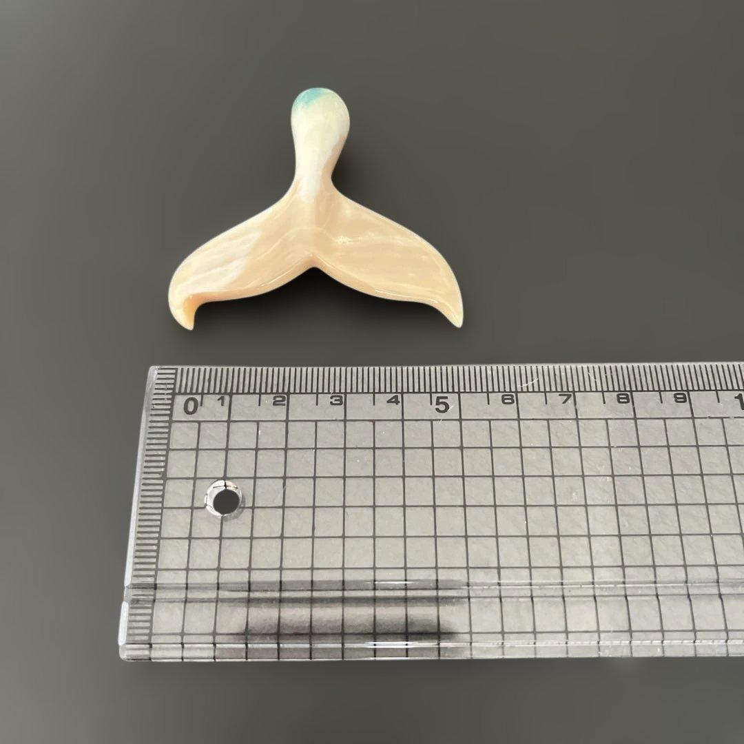 夜光貝、クジラの尾 置物（2）