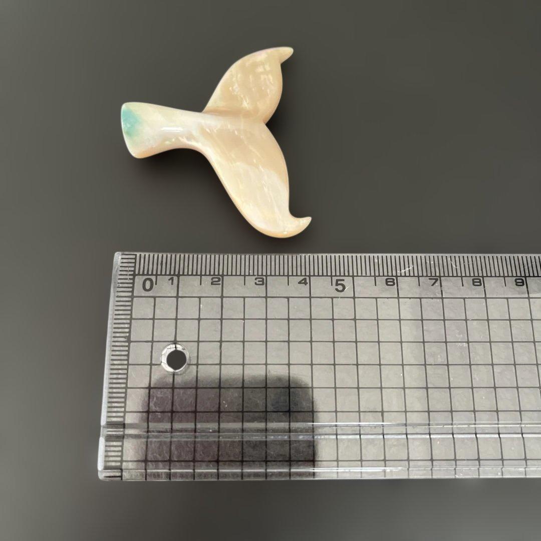 夜光貝、クジラの尾 置物（2）