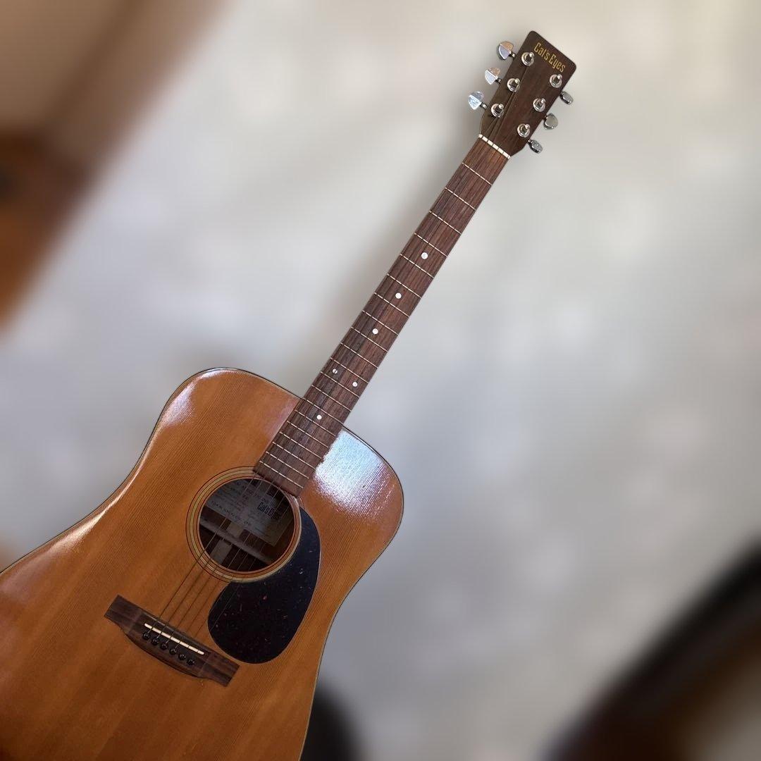 ギター ソフトケース付き　　TOKAI 楽器　フォークギター　アコースティック