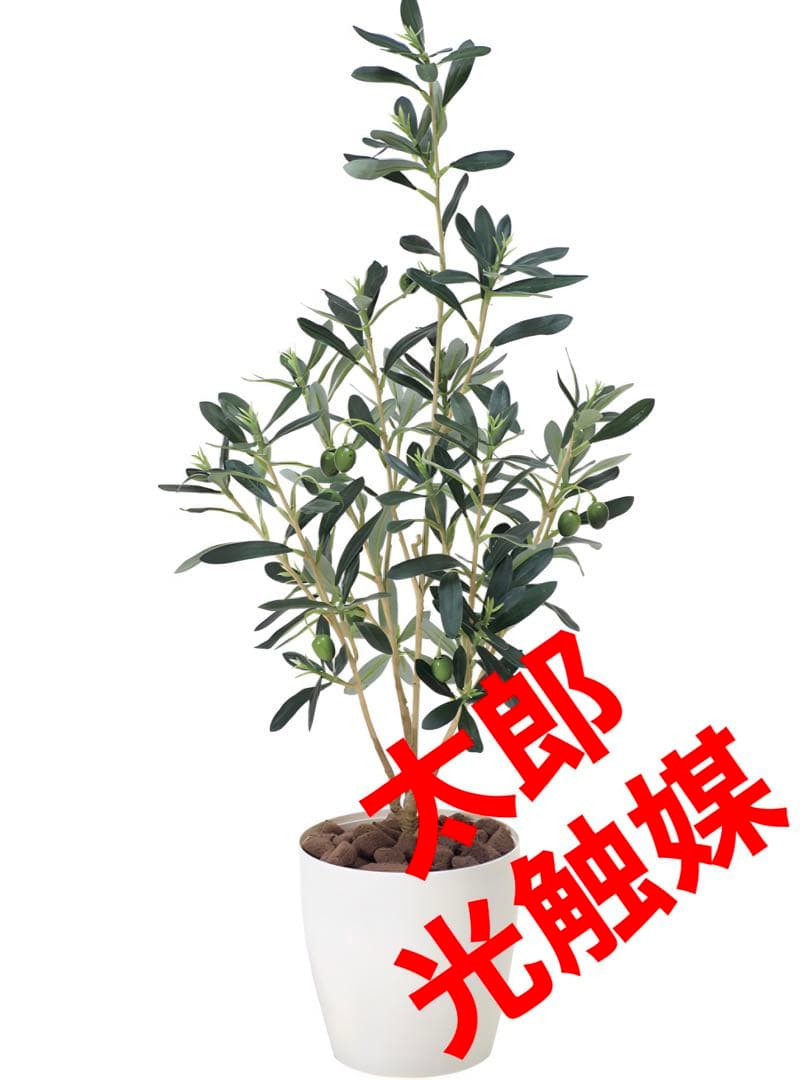 光触媒　人工観葉植物　ウォールグリーン　フェイクグリーン　オリーブ73センチ