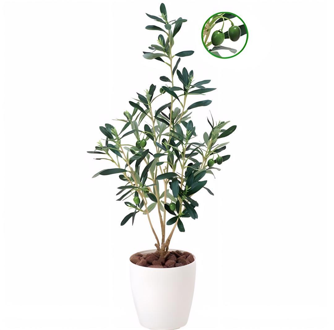 光触媒　人工観葉植物　ウォールグリーン　フェイクグリーン　オリーブ73センチ