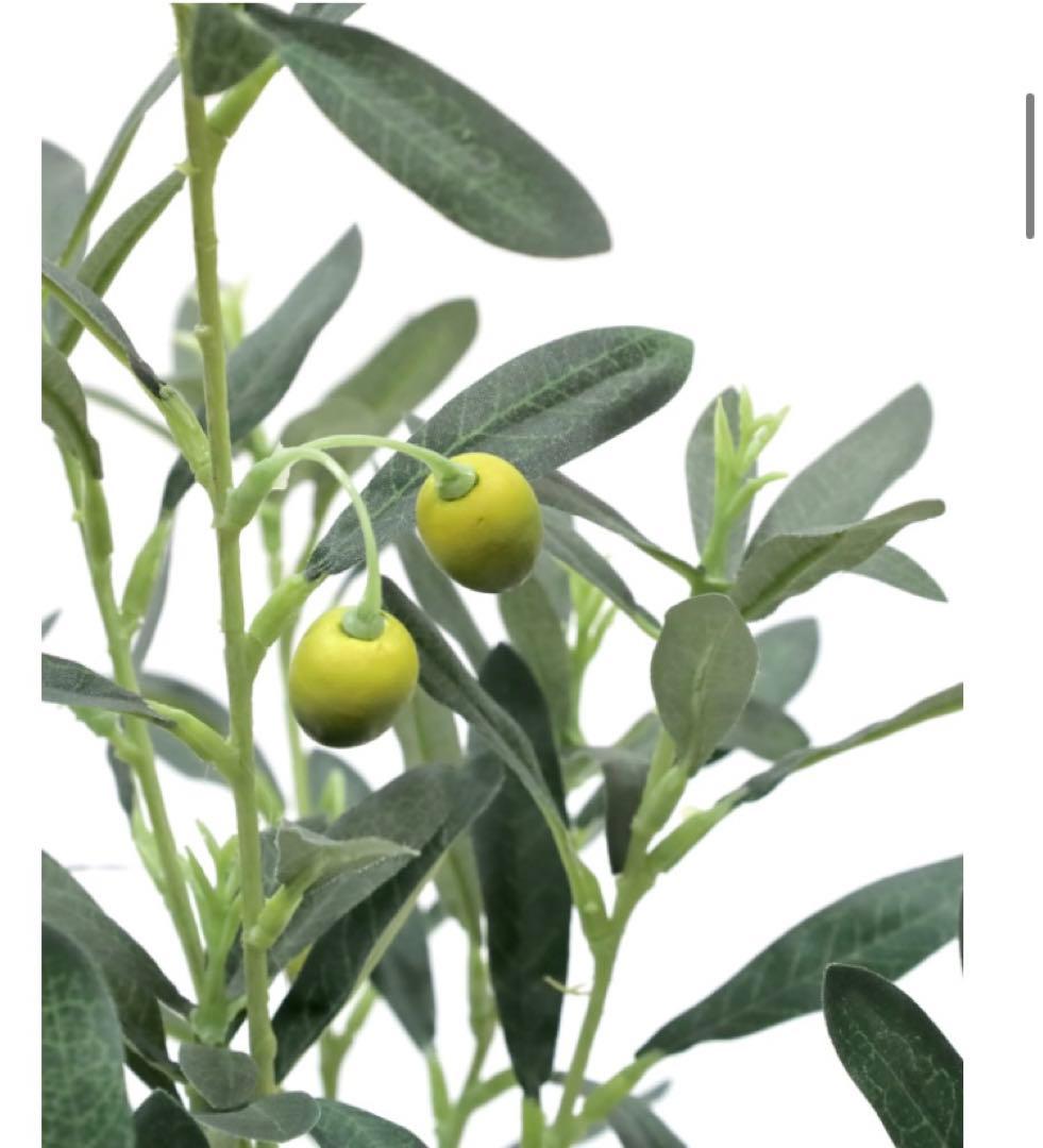 光触媒　人工観葉植物　ウォールグリーン　フェイクグリーン　オリーブ73センチ