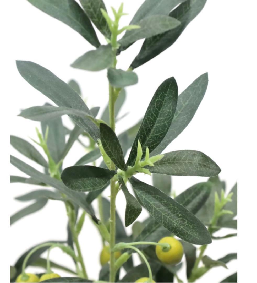 光触媒　人工観葉植物　ウォールグリーン　フェイクグリーン　オリーブ73センチ