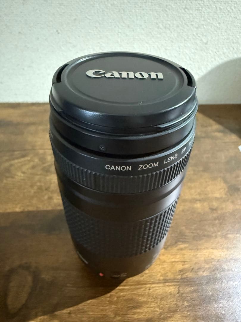 canon kiss x10望遠レンズセット