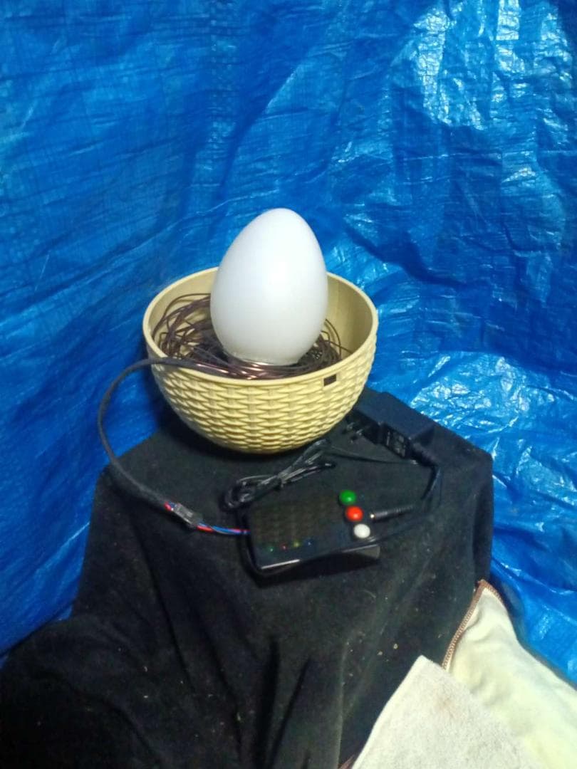 卵殻灯（らんかくとう） 異世界の怪鳥の卵を模した一点物の間接照明