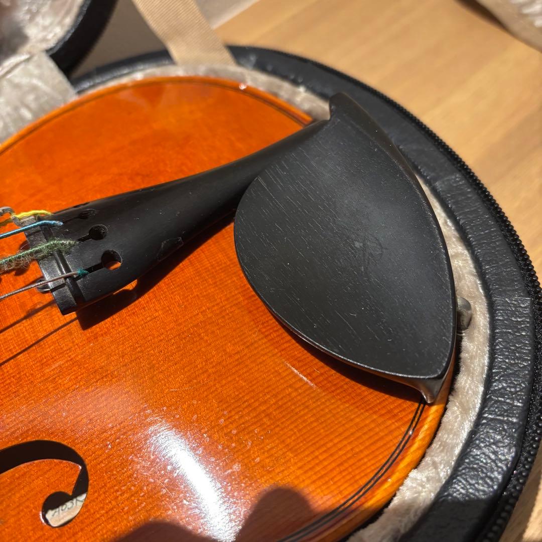 Pygmalius Derius 1/8 2004年 弓ARCHET 東洋ケース