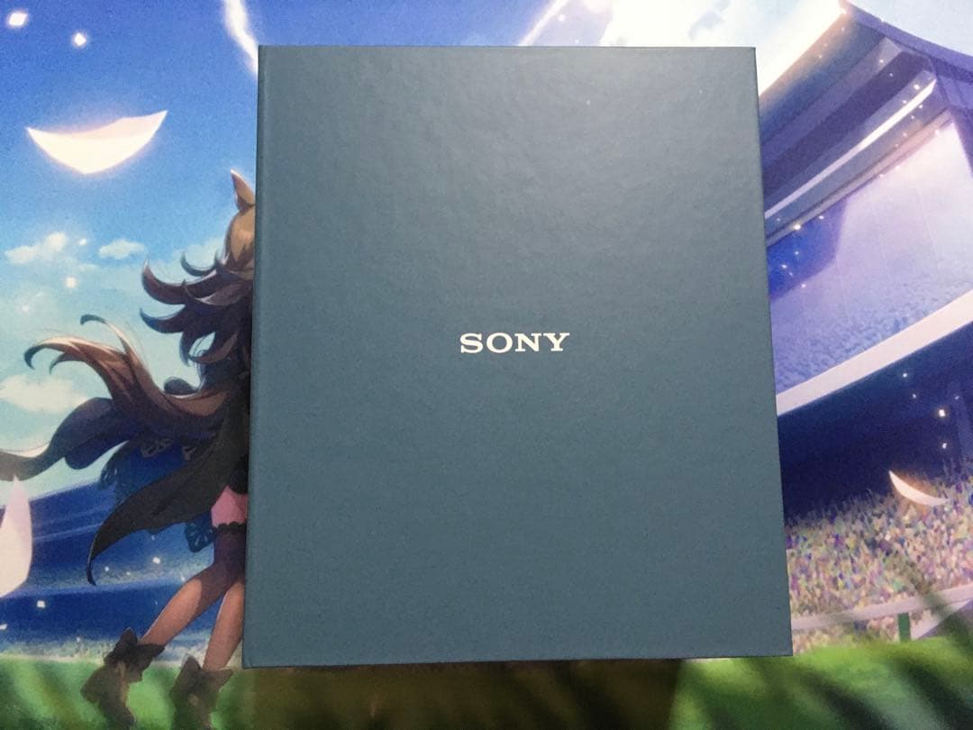 【最終値下げ】SONY hear on 2 ワイヤレスヘッドホン