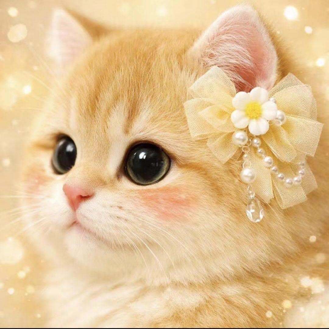 オーダー用猫ちゃん*´꒳`ฅパネルサンプルページ