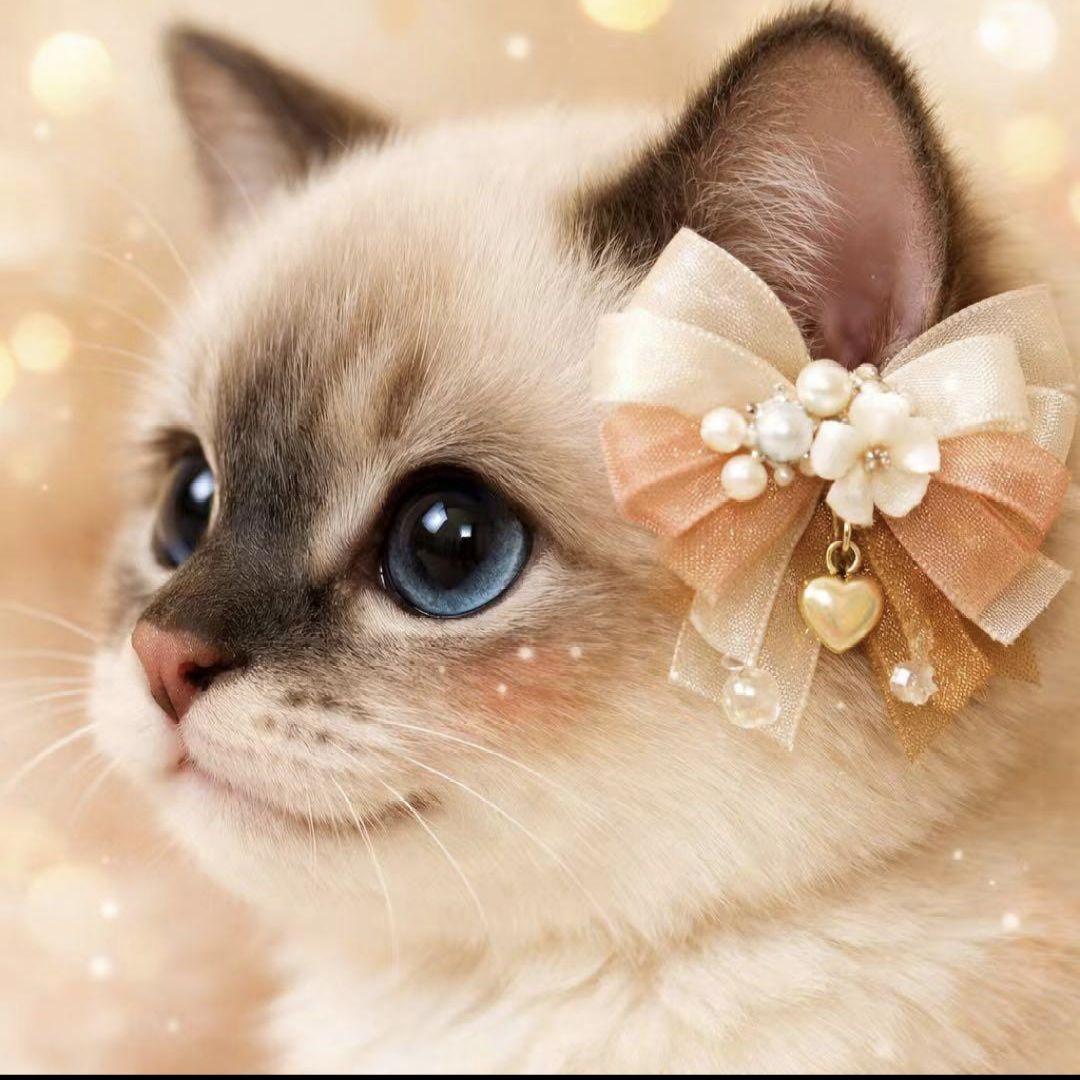 オーダー用猫ちゃん*´꒳`ฅパネルサンプルページ