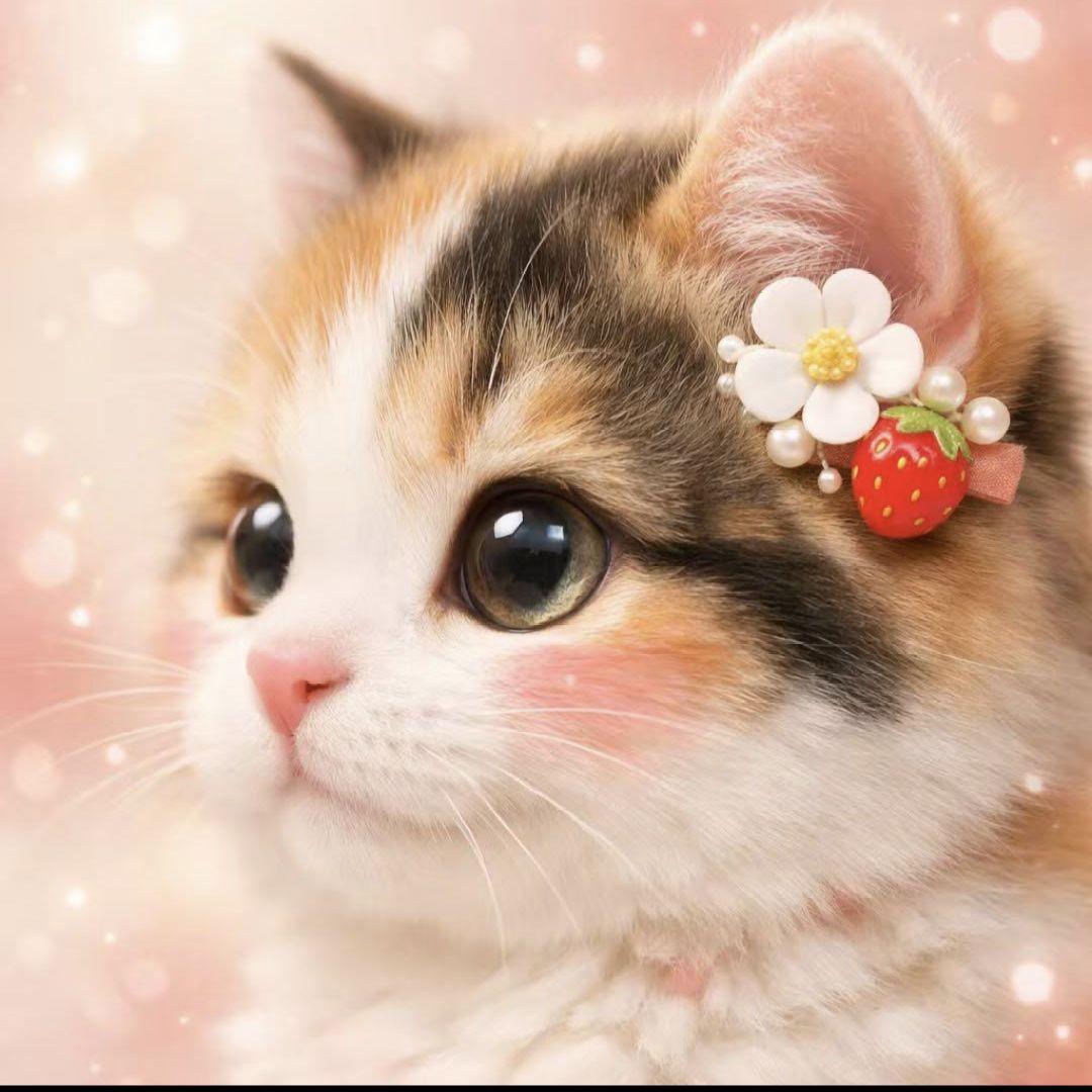 オーダー用猫ちゃん*´꒳`ฅパネルサンプルページ