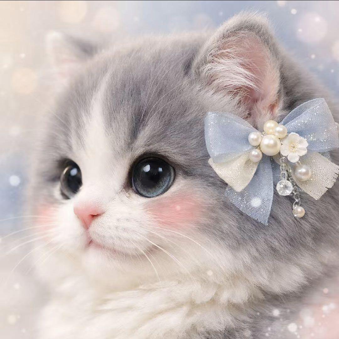 オーダー用猫ちゃん*´꒳`ฅパネルサンプルページ