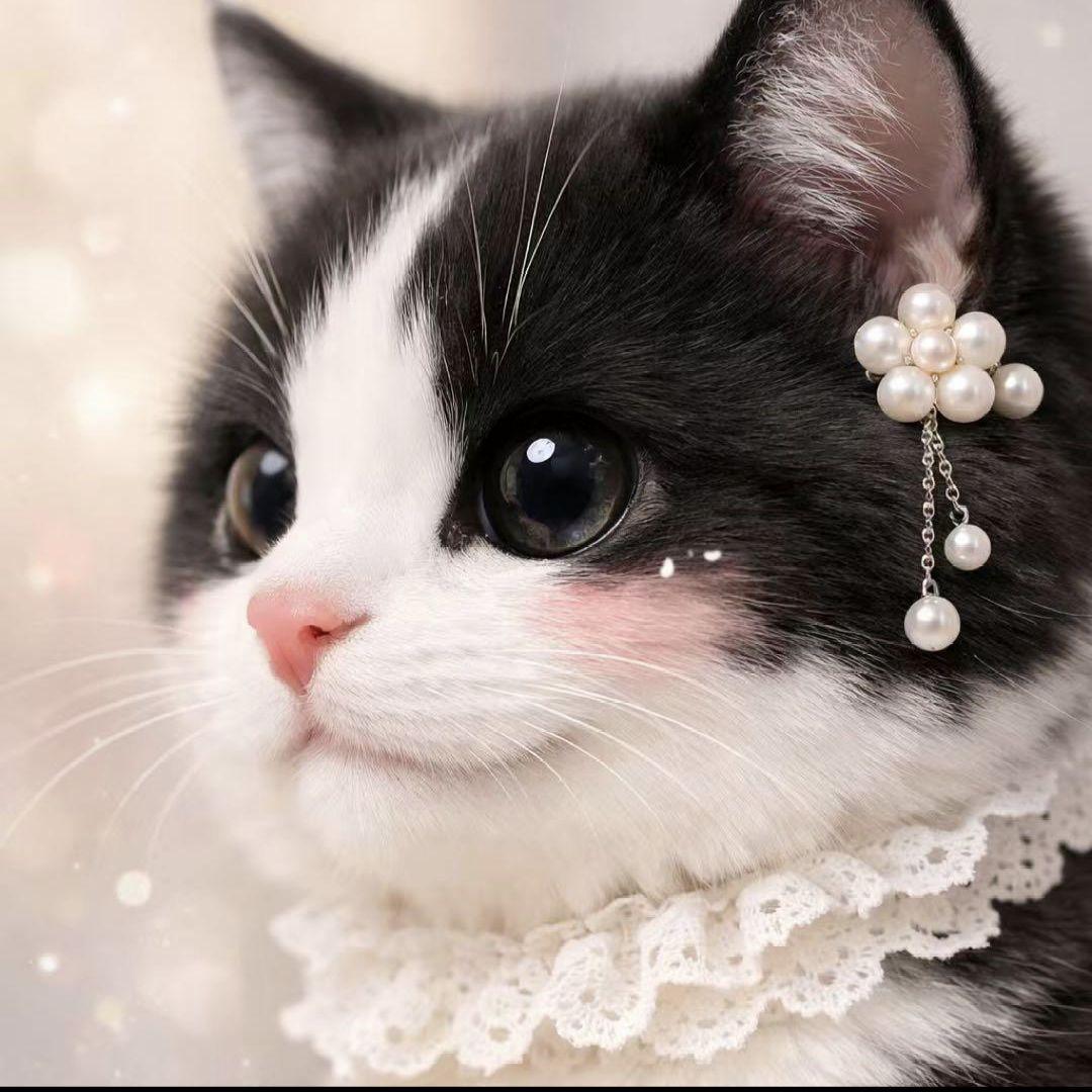 オーダー用猫ちゃん*´꒳`ฅパネルサンプルページ