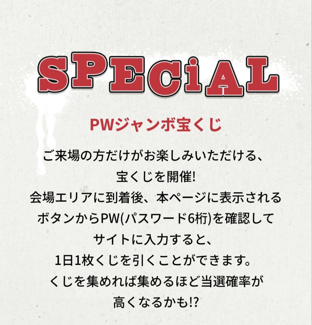 LiSA シューズが入る!オリジナル巾着　PATCH WALK賞 宝くじ当選品