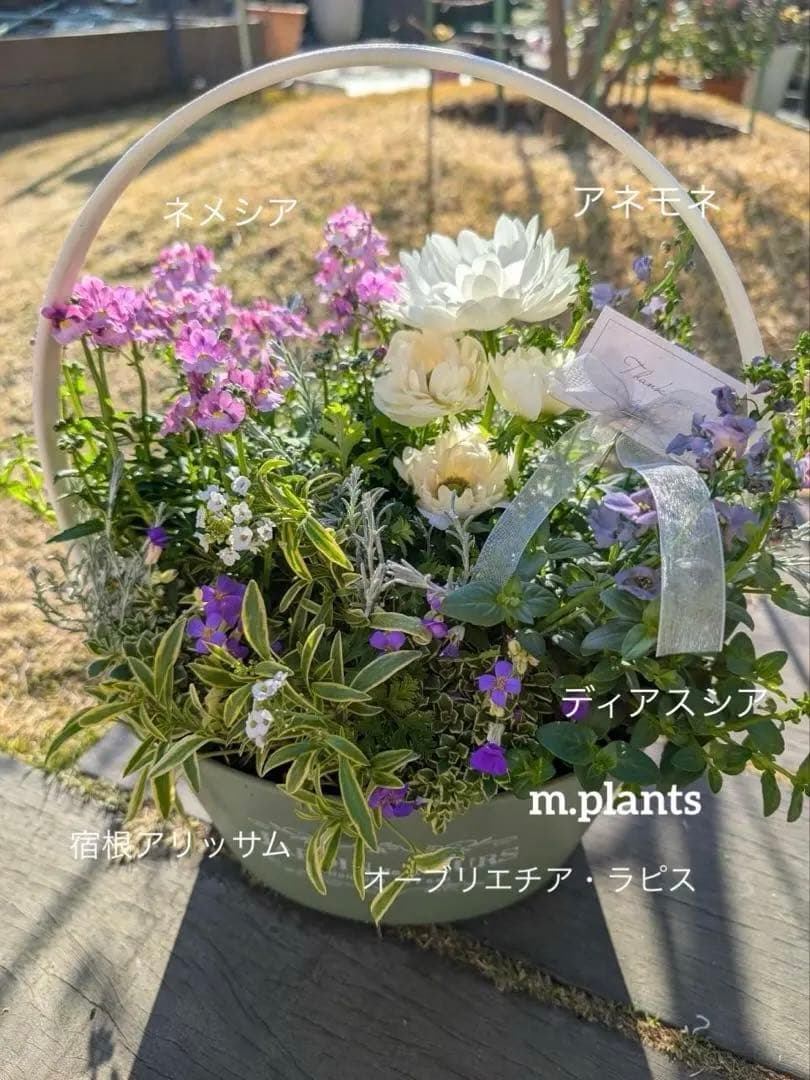 寄せ植え　はるはる様　ご注文品