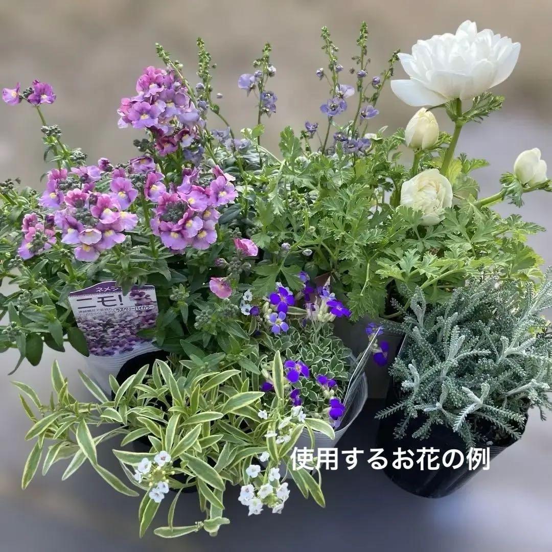 寄せ植え　はるはる様　ご注文品
