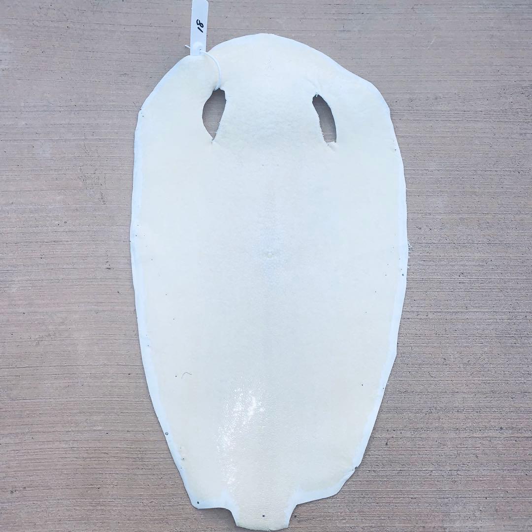 18)SA エイ革 鮫革 鮫皮 stingray ガルーシャ スティングレイ