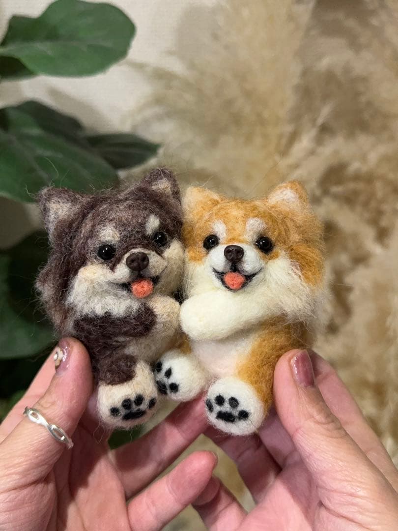 ほっぺがくっつく　なかよし　チワワ　羊毛フェルト　マスコット