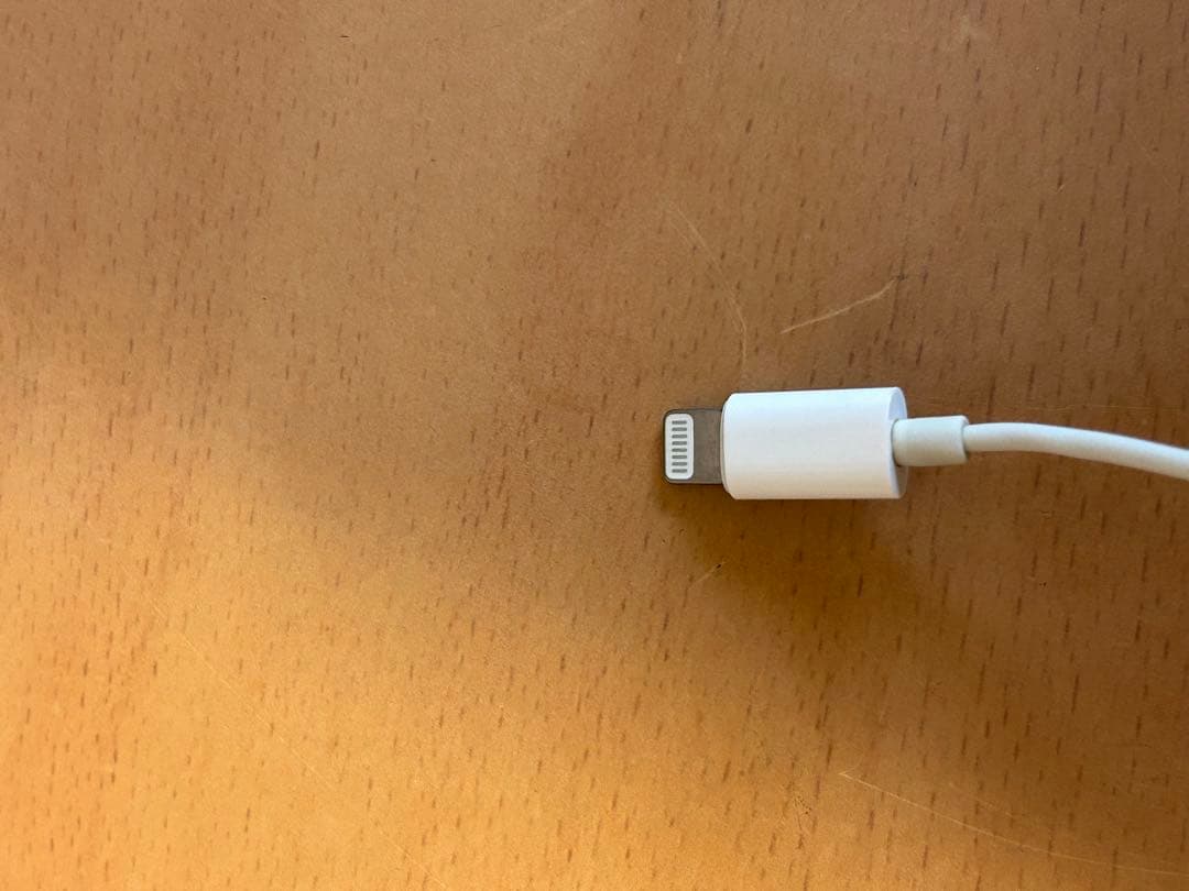 iPhone SE（第1世代）32GB ゴールド イヤホン付