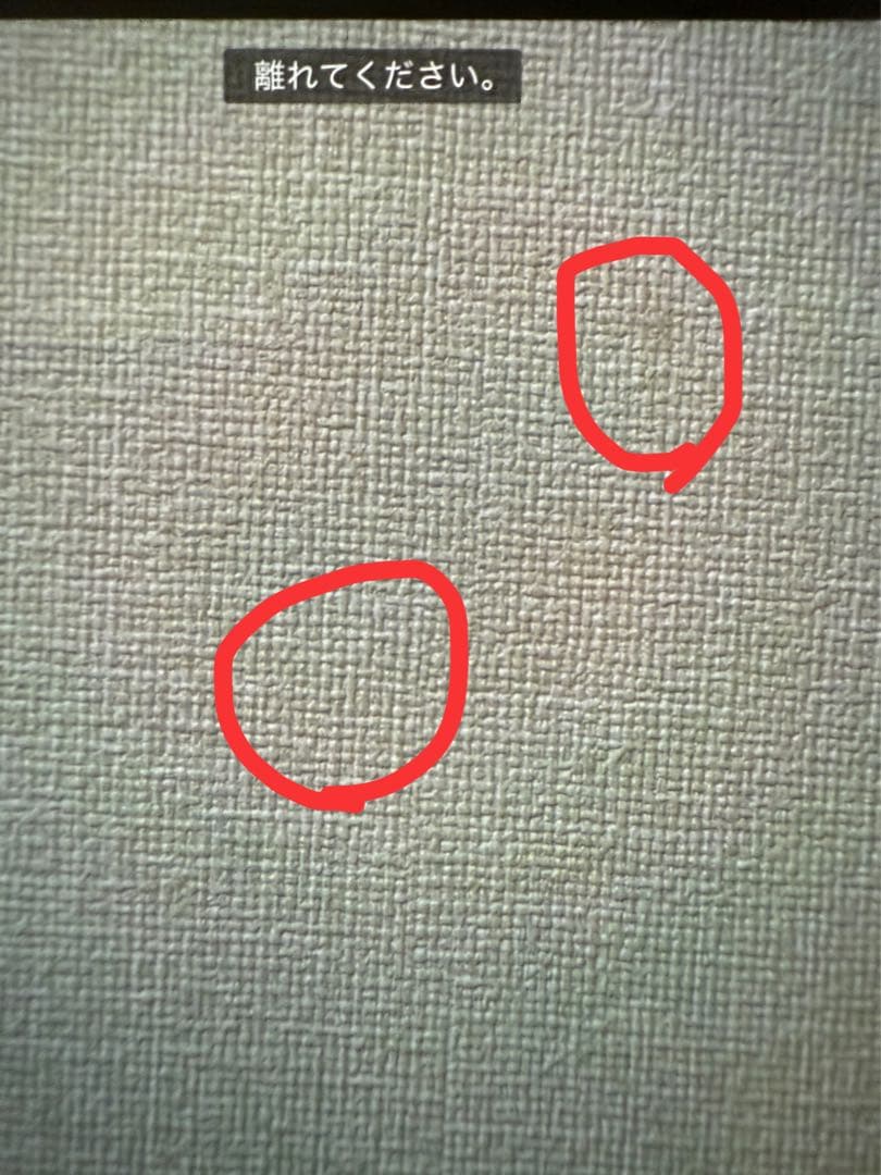 Apple iPhone 13 Pro Max シルバー 256GB