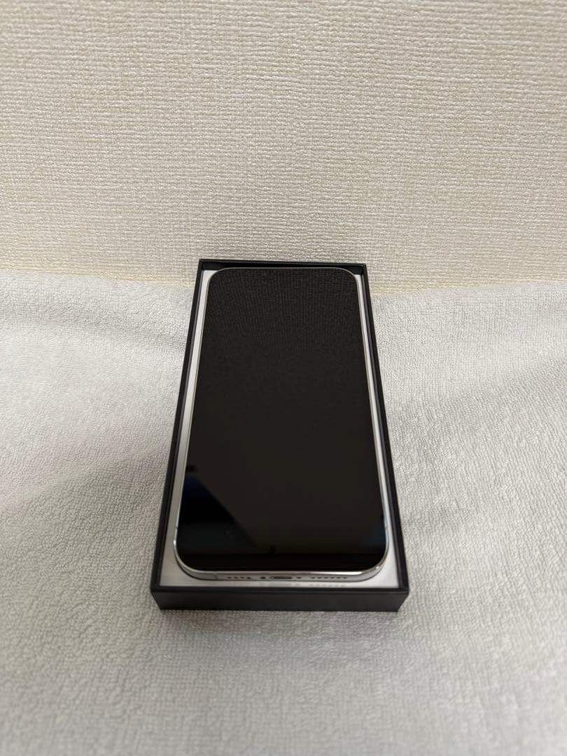 Apple iPhone 13 Pro Max シルバー 256GB