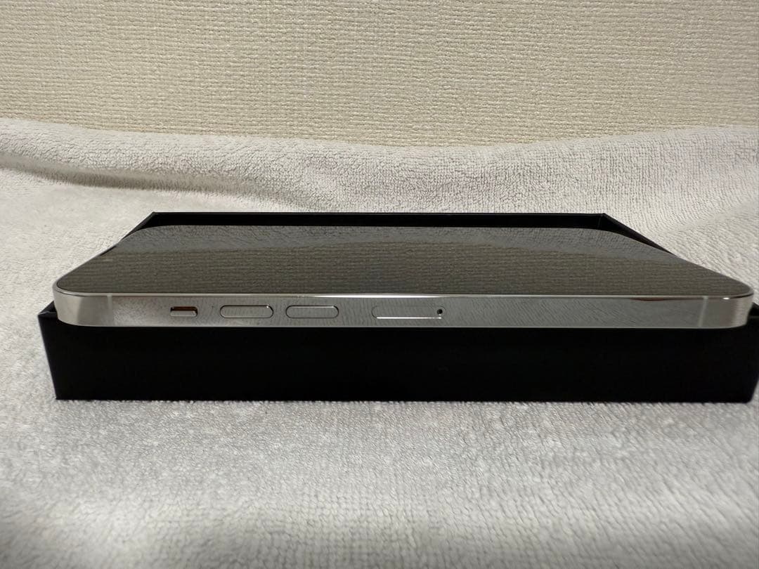 Apple iPhone 13 Pro Max シルバー 256GB