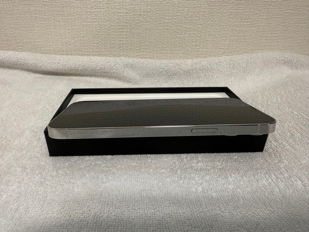 Apple iPhone 13 Pro Max シルバー 256GB