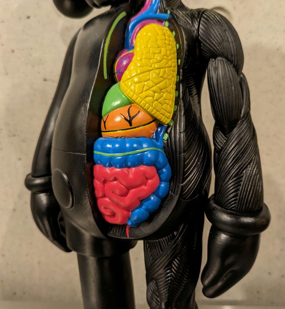 KAWS カウズ COMPANION 人体模型 MEDICOM TOY