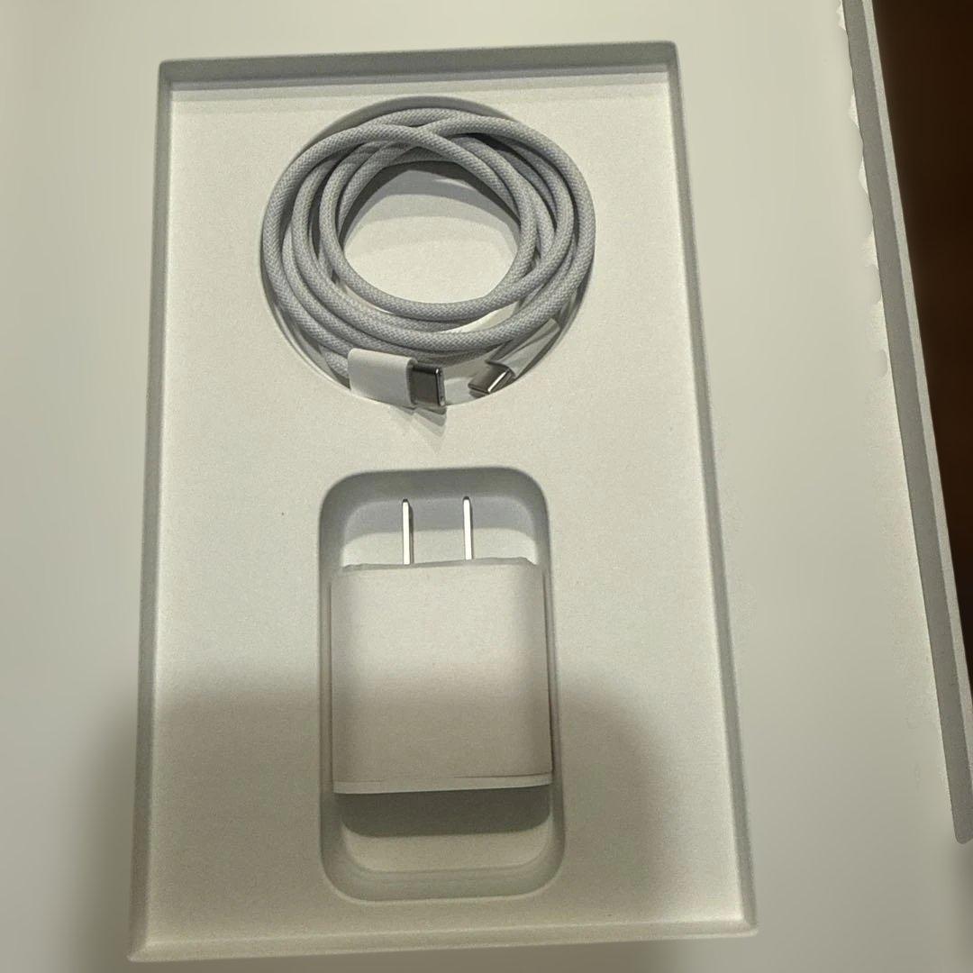 iPad 11インチ (A16)128GB Wi-Fi + Cellular本体