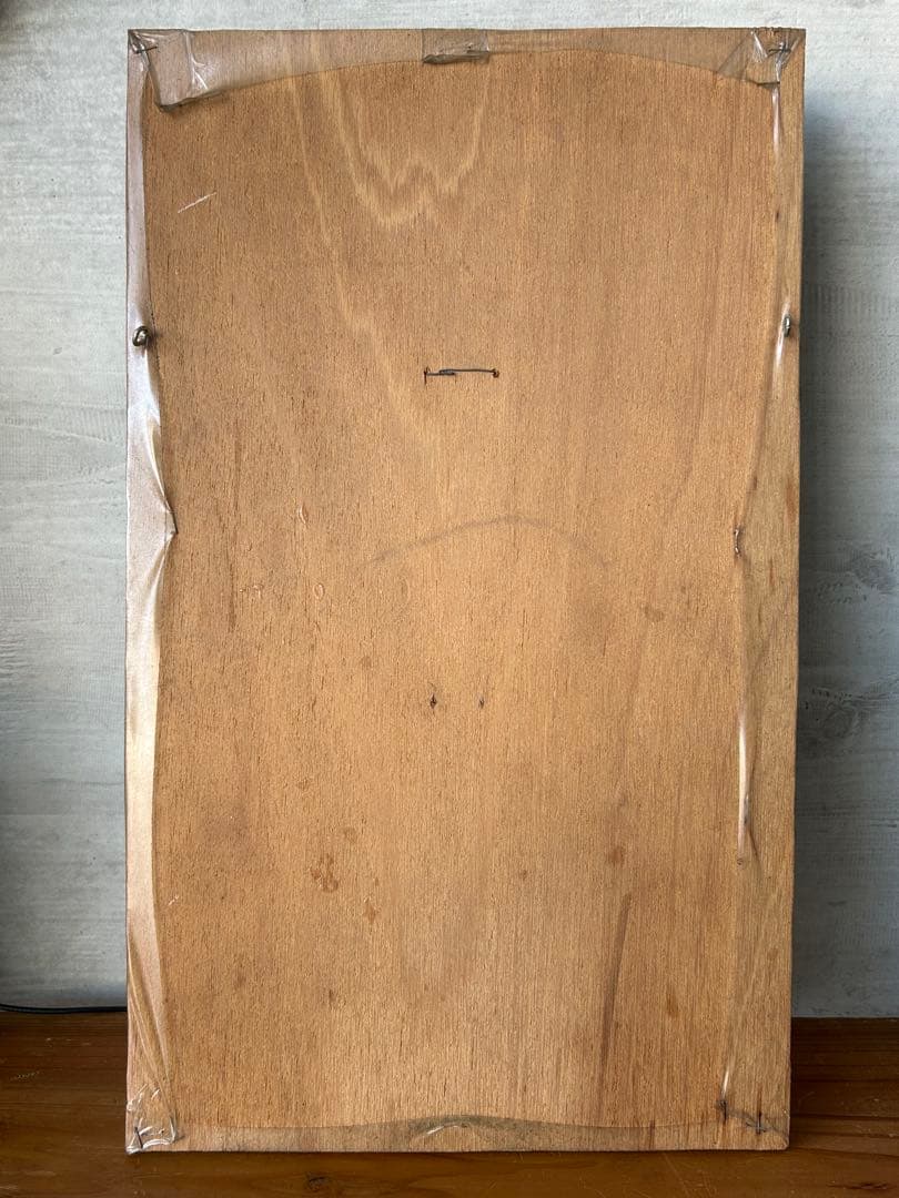 カブトガニ　標本