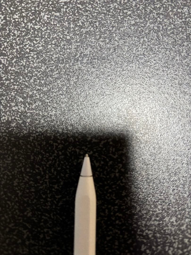 iPad pro 12.9 (第3世代) 256GB applepencil付き