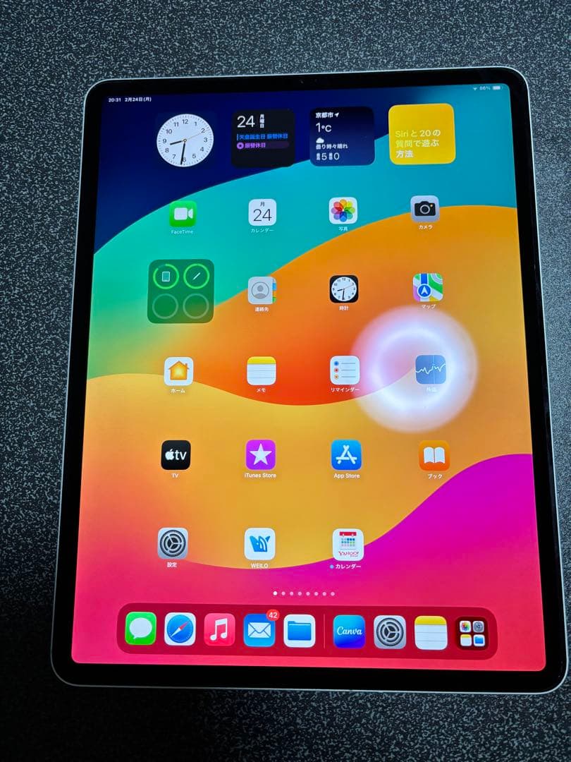 iPad pro 12.9 (第3世代) 256GB applepencil付き